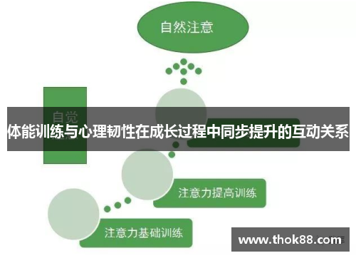 体能训练与心理韧性在成长过程中同步提升的互动关系