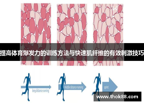 提高体育爆发力的训练方法与快速肌纤维的有效刺激技巧